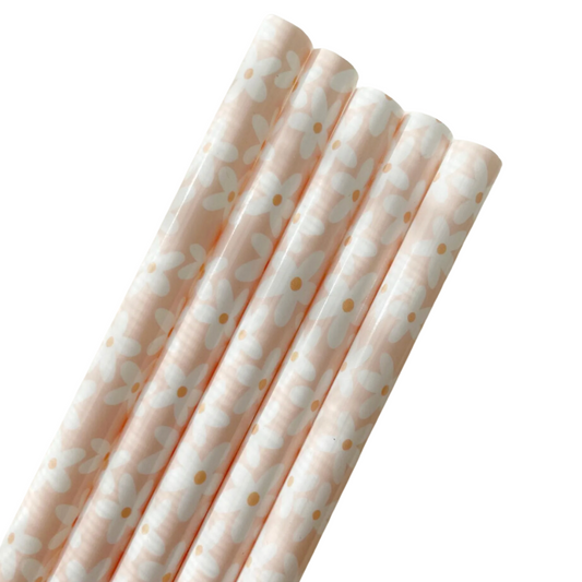 Daisy Reusable 2 Straws